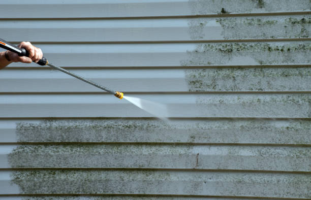Animal Enclosure Cleaning in Williams, CA