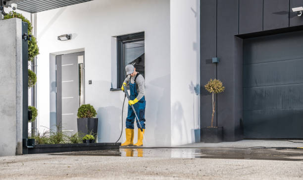 Pre-Holiday Cleaning in Williams, CA